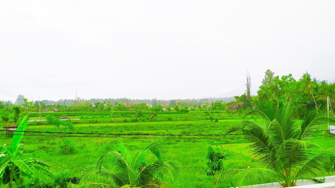 فندق Puri Lovina المظهر الخارجي الصورة